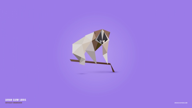 Sosialisasi Pemberdayaan Pensiunan - Sejahtera dengan Hidroponik